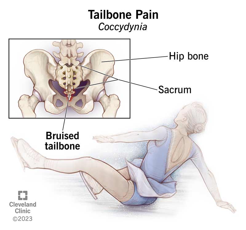 Tail Bone Tail Bone